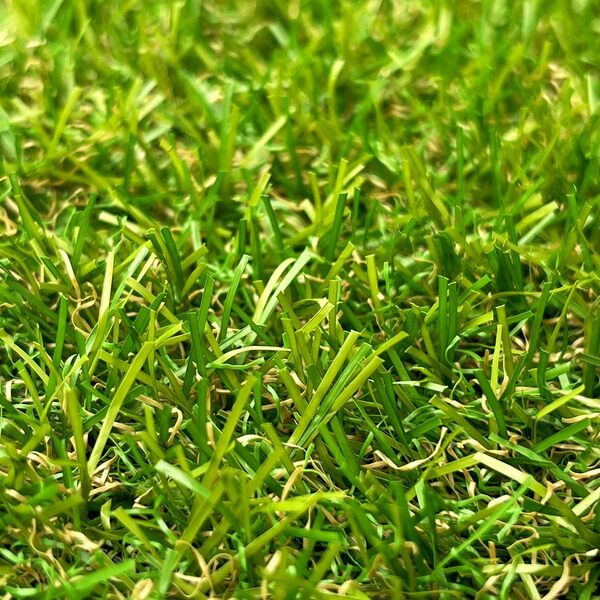 Gazon Synthétique 22mm en 2m de large (2 m de large x 7m de long)