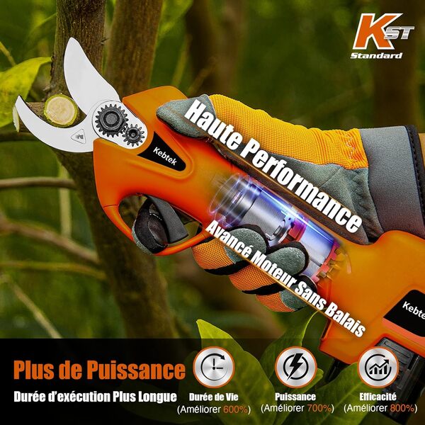 Kebtek Sécateur électrique Sans Fil Léger avec 2 Batteries- Diamètre de Coupe de 25 mm - Moteur Brushless 16.8V - Sécateur à batterie pour la Taille Vigne, Rosier, Arbuste, Arbre (YDN-B007)