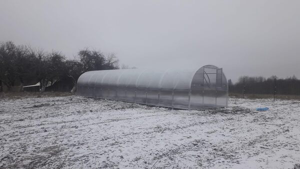 Klasika Baltic LT Serre 3 x 12 m avec polycarbonate de 4 mm