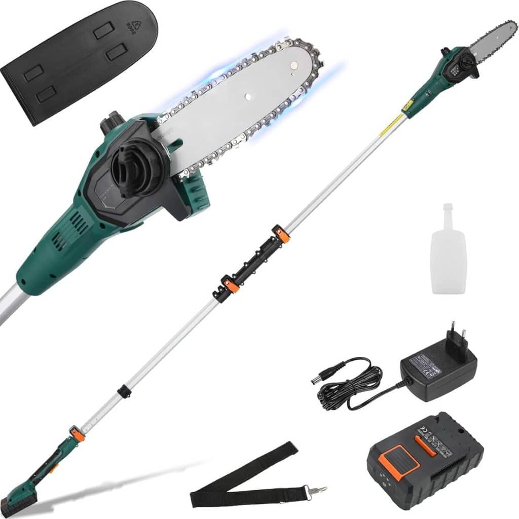 Test de l'élagueur sur perche sans fil Li-Ion 20 V 2, 5 Ah