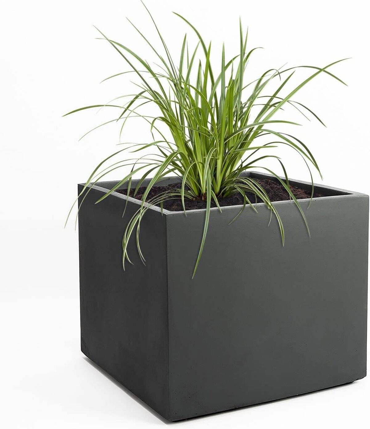Test du pot de fleur XXL Pflanzwerk : robustesse et design