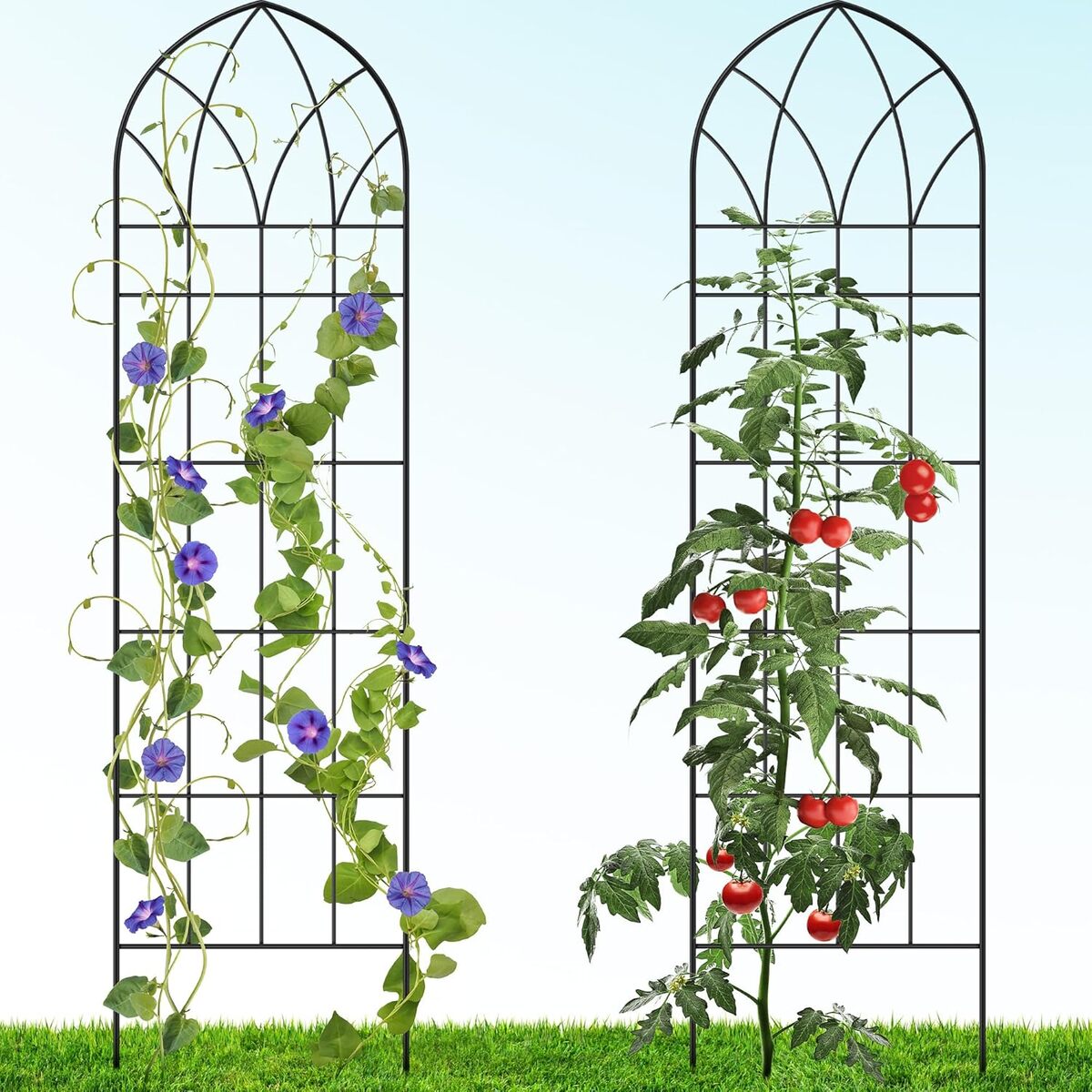 Test du treillis gothique antirouille Gray Bunny pour plantes grimpantes
