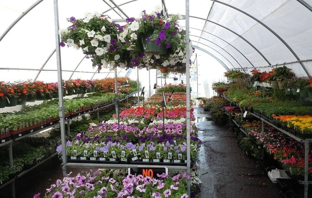 Quelle forme doit avoir une serre de jardin ?