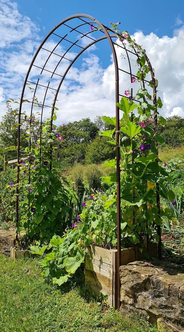 Louis Moulin 3006 Arche pour Plantes Grimpantes Métal Fer Vieilli 180 x 50 x 250 cm