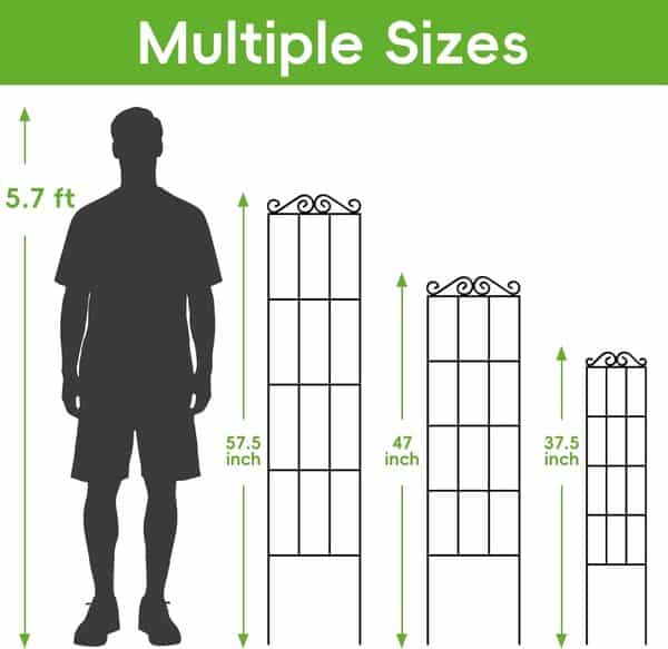 Lot de 4 Treillis de Jardin en métal pour Plantes grimpantes, intérieur/extérieur - Robuste pour Plantes en Pot, Plantes d'intérieur, vignes grimpantes, Noir