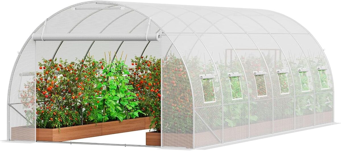 Test de la serre tunnel jardin Vevor : 590x295x198 cm, abri performant pour vos plantes