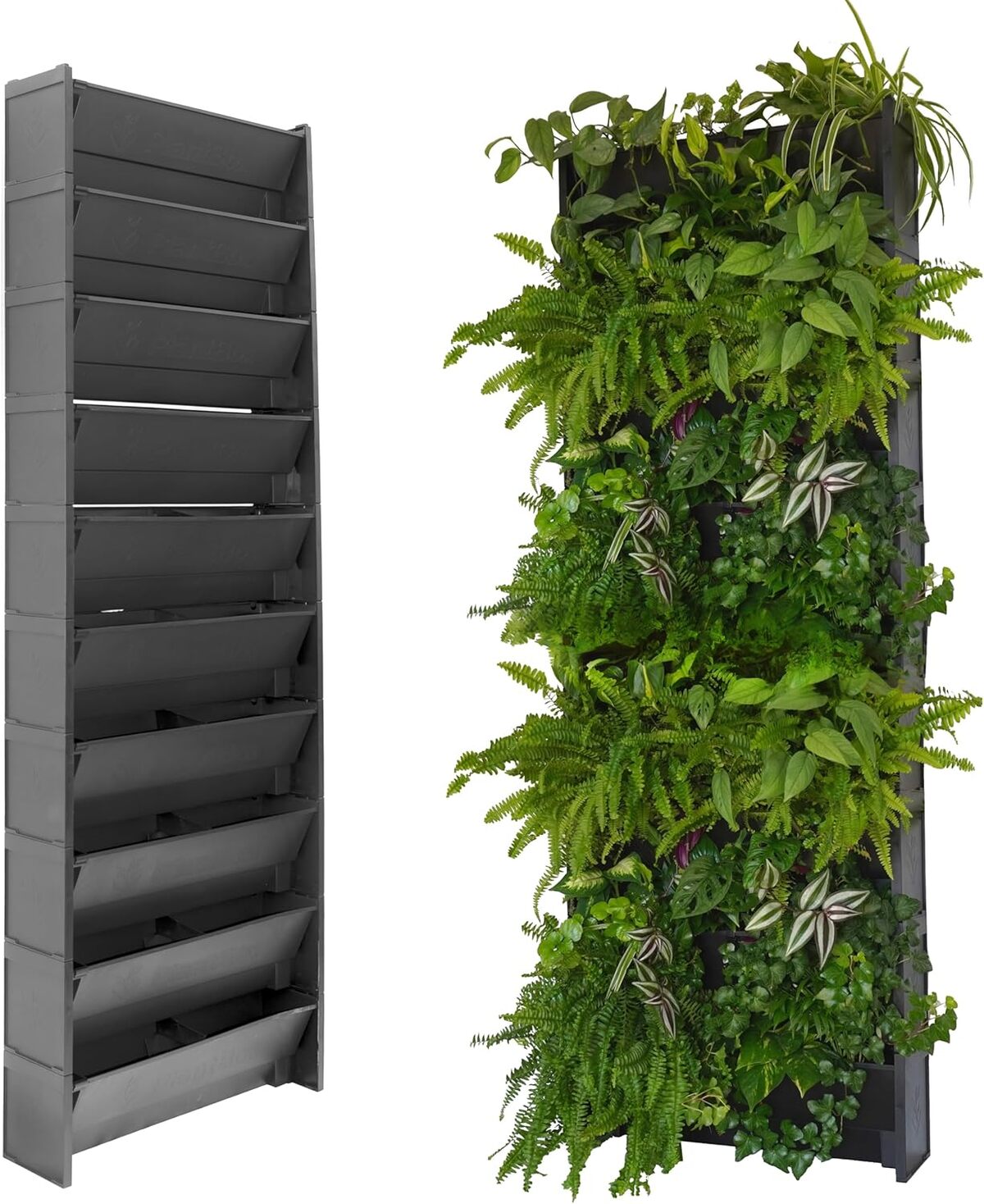 Test du mur végétal Evertia : pots avec irrigation semi-automatique