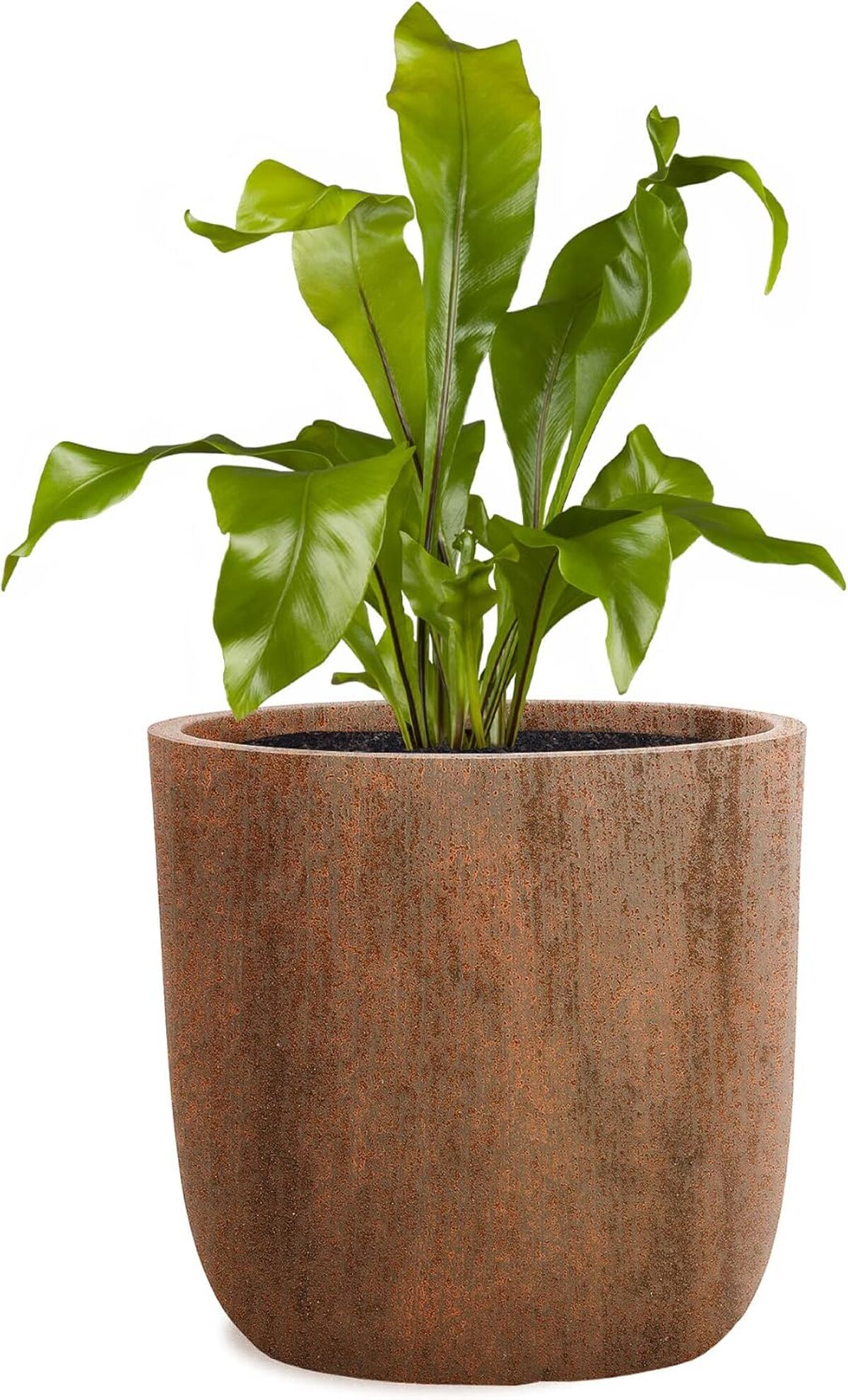 Test : pflanzwerk pot de fleur fibre de verre Cup Ø51cm brun rouille