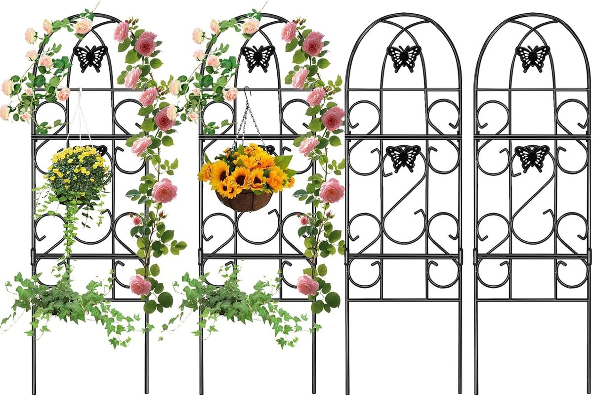 Test : treillis de jardin en fer noir résistants à la rouille