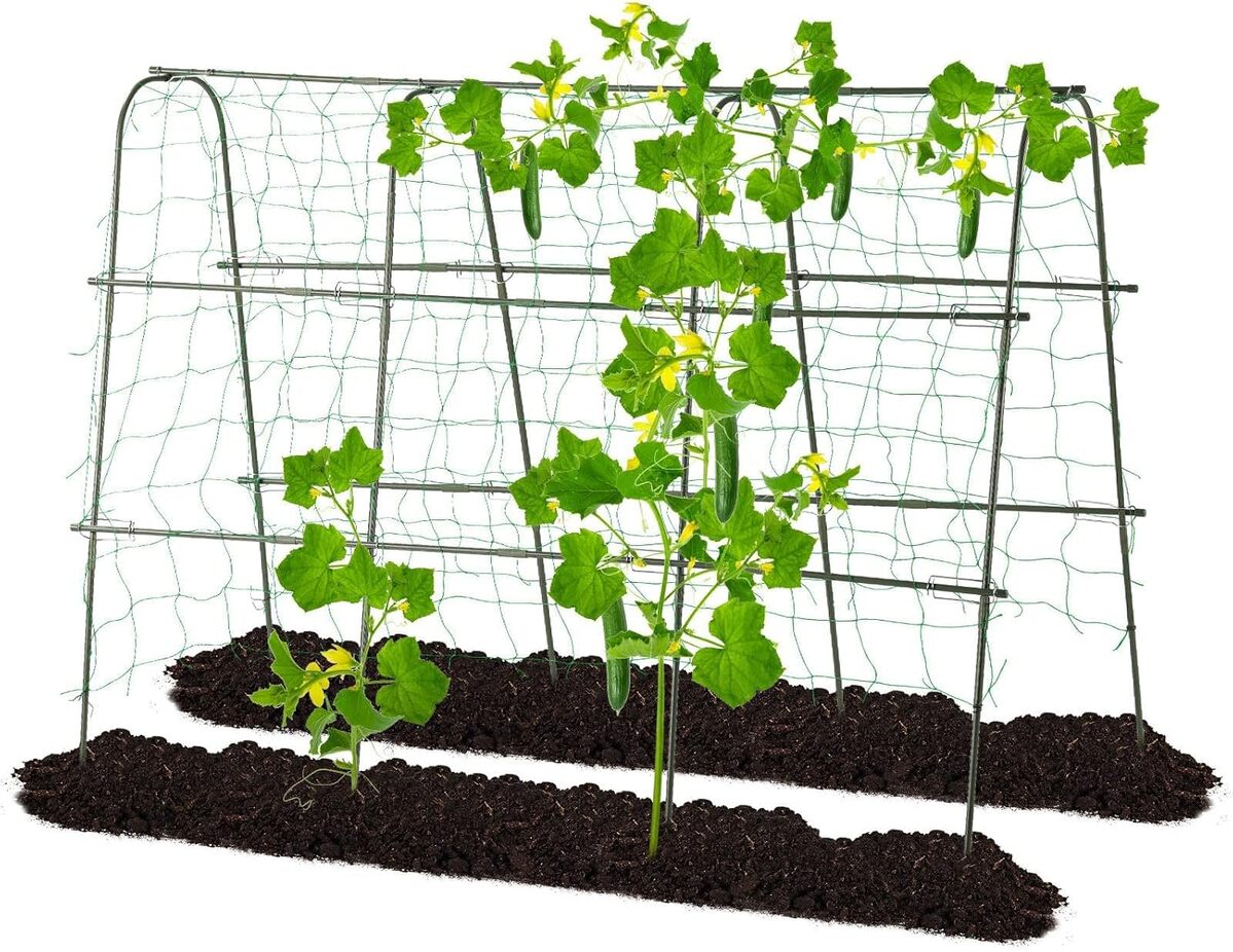 Test : treillis de jardin en U avec filet d'escalade