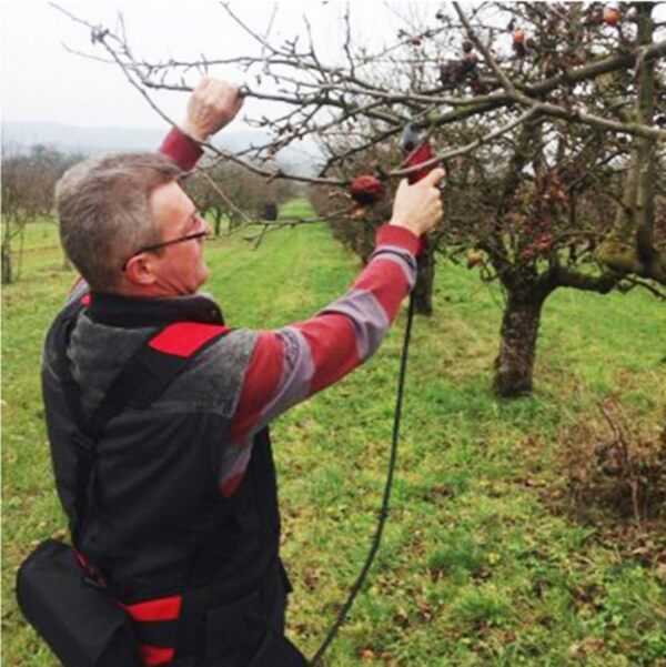 Nouveaux sécateurs et cisailles électriques d'élagage électrique de coupeur d'élagueur de l'arbre 220V à grande vitesse