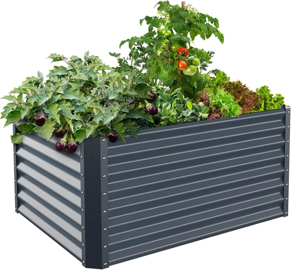 Test de la jardinière surélevée galvanisée 61 cm gris nuit