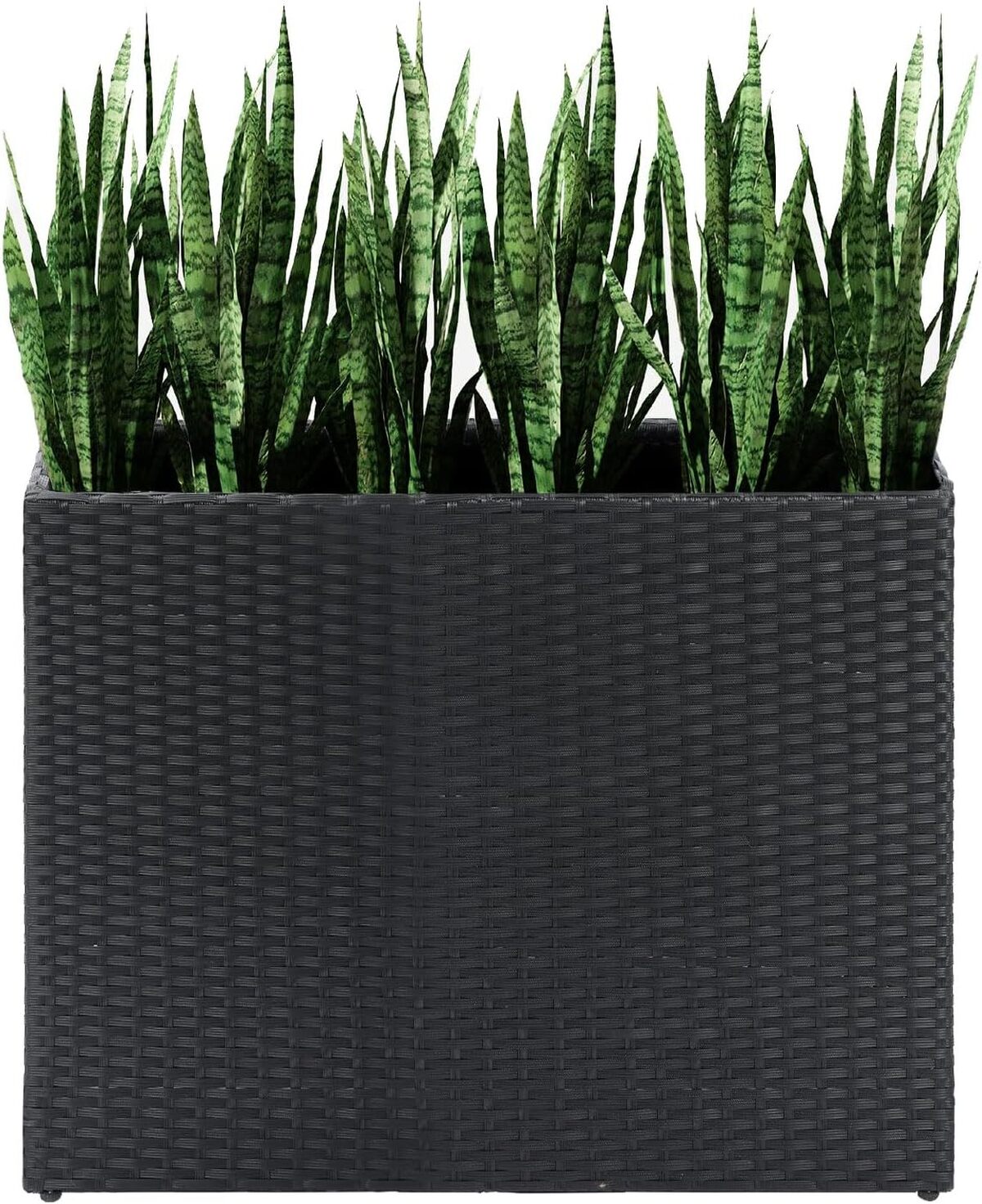Test du grand pot de fleurs rectangulaire LEWIS&WAYNE