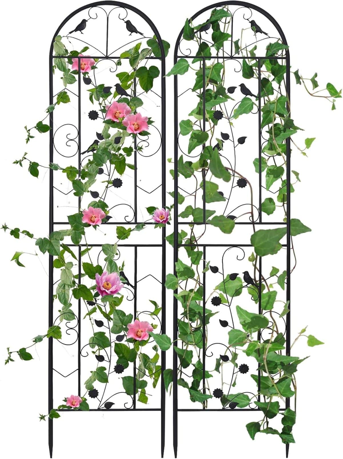 Test du support treillis plante grimpante UNHO : décoration extérieure en fer forgé
