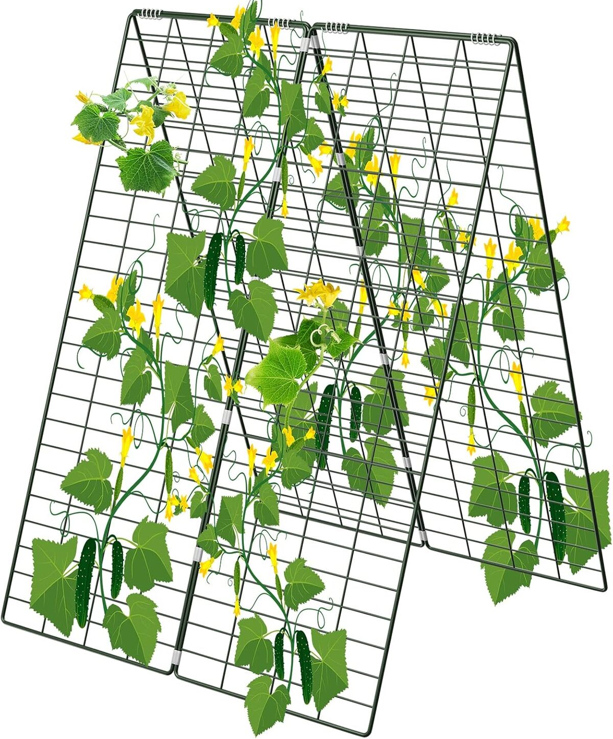 Test du treillis pliable AGTEK pour concombres et plantes grimpantes