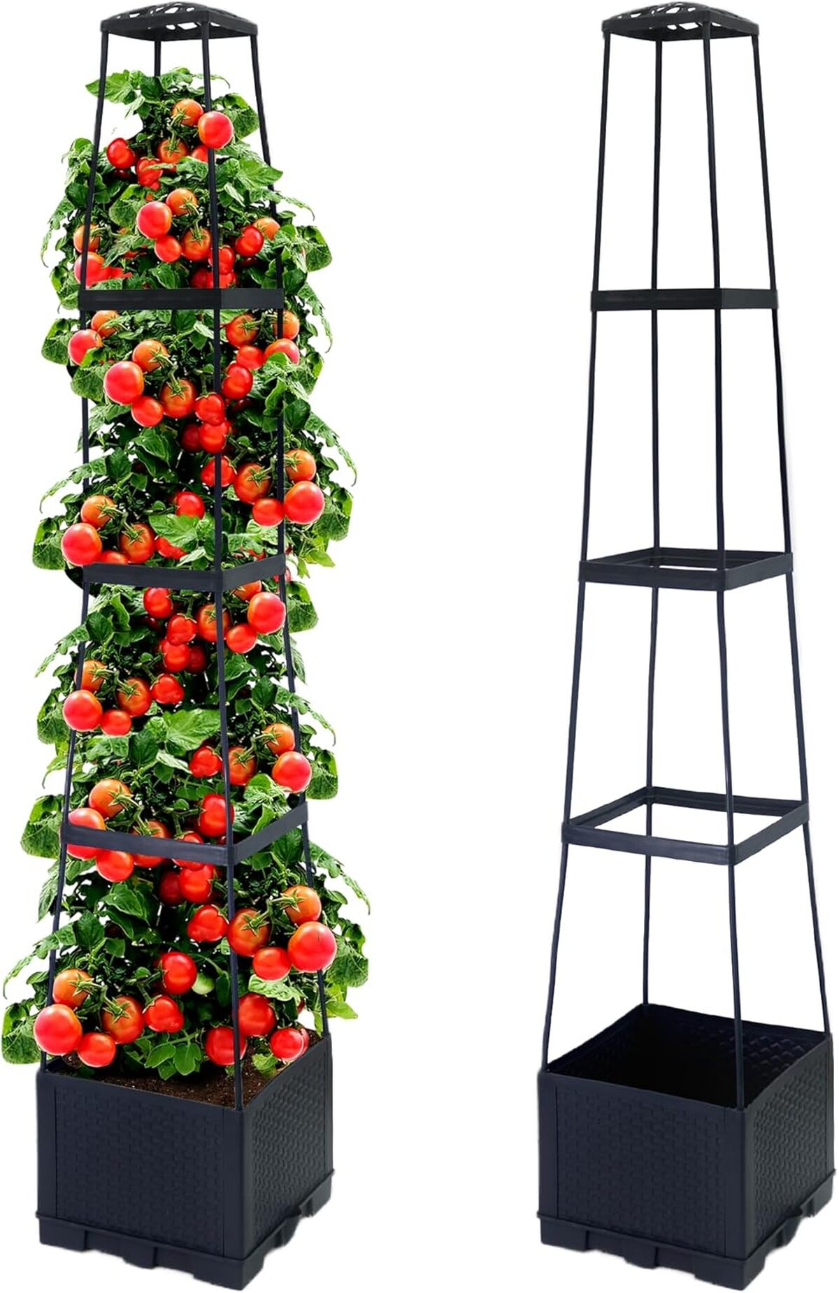Test : jardinières à tomates Biotolot auto-arrosantes