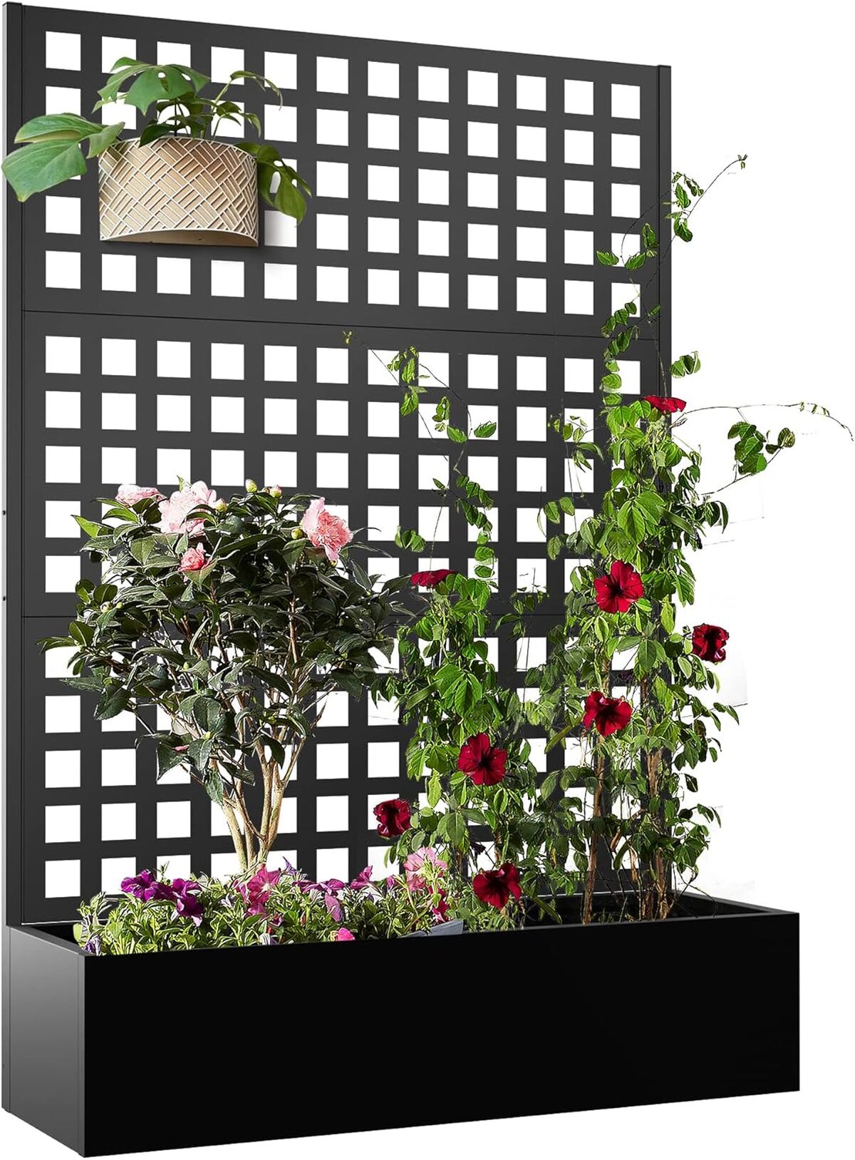 Test : jardinière en métal avec treillis Elevens, idéale pour plantes grimpantes