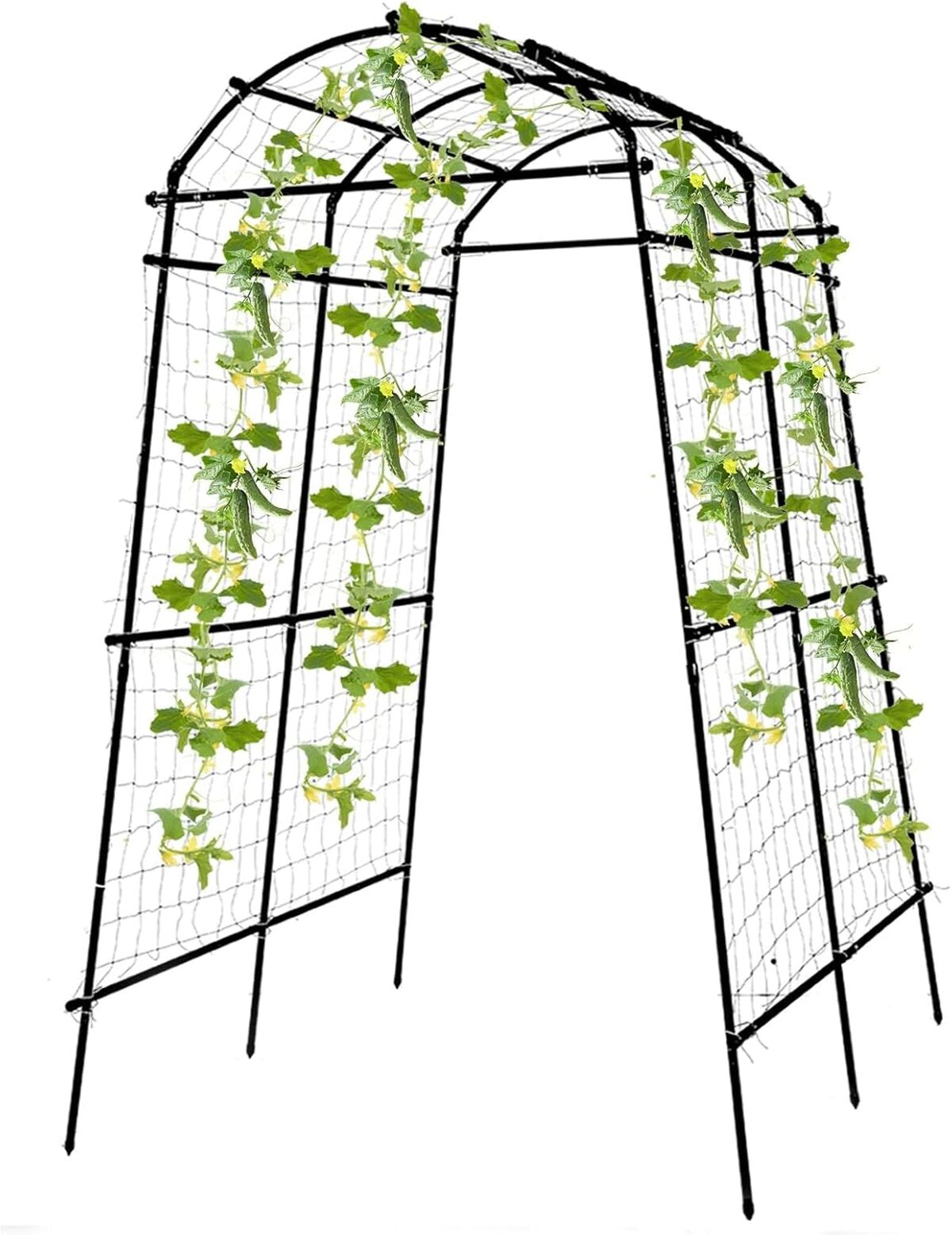 Test : treillis Yotoworth pour plantes grimpantes 2, 1 m