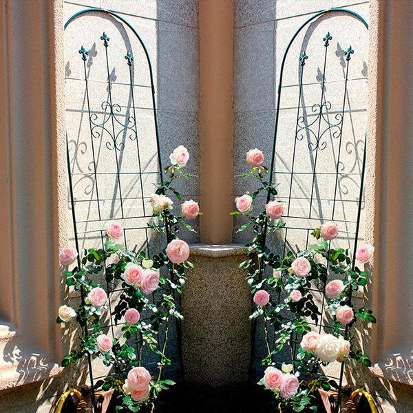 eLeGreen Lot de 2 treillis de jardin en métal pour plantes grimpantes 50 x 180 cm - Noirs