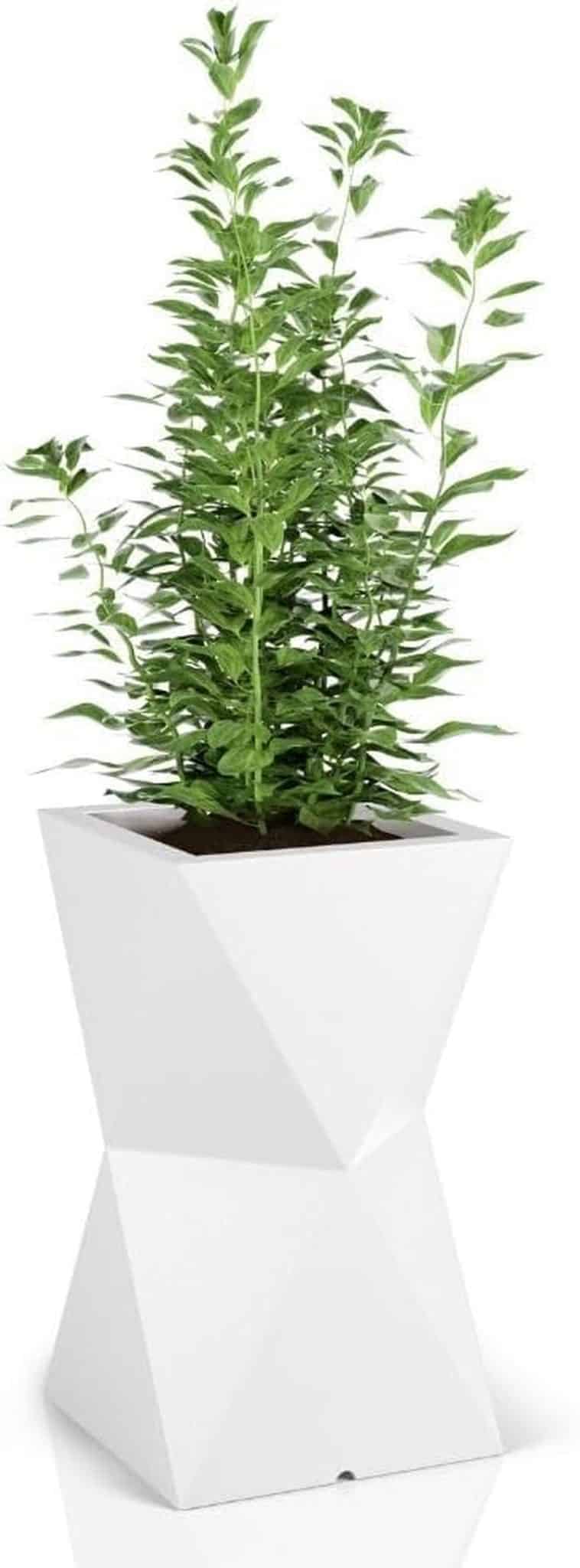 Avis sur le pot de fleur haut Valencia Forvega : design moderne et résistance