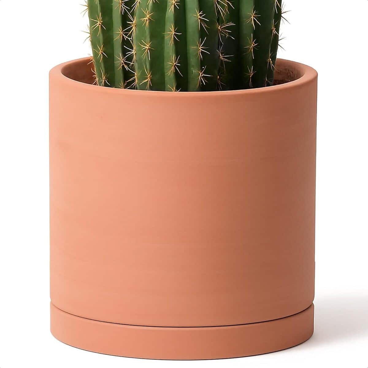 Avis sur le pot de fleurs D'vine Dev XL 30, 5 cm