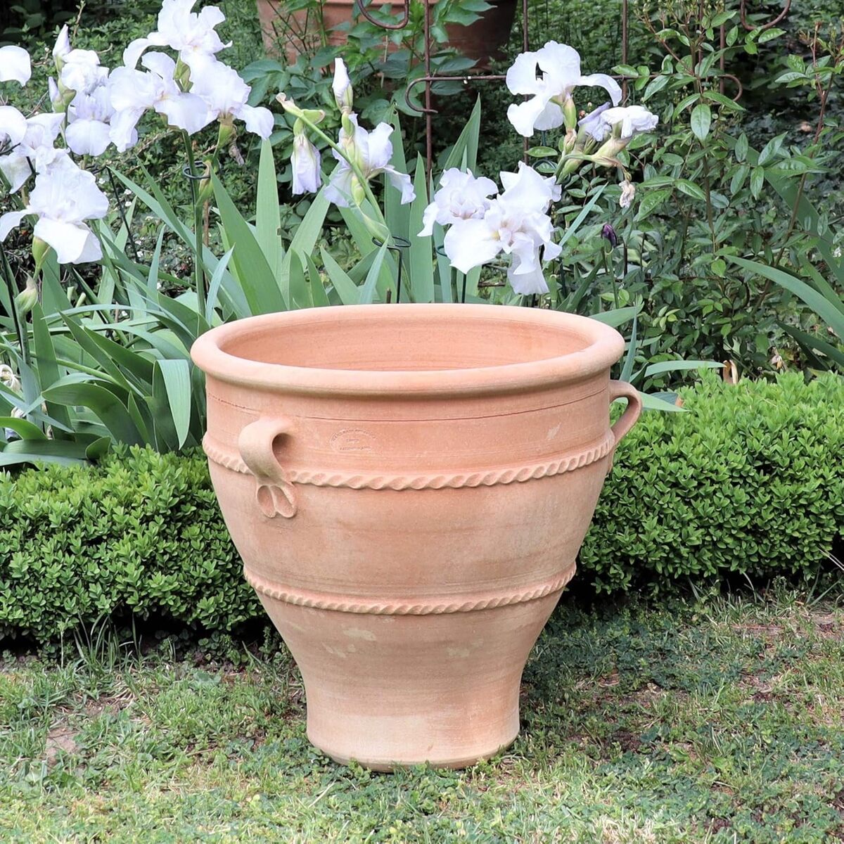 Avis sur le pot Palatina Werkstatt de 50 cm : beauté résistante au jardin