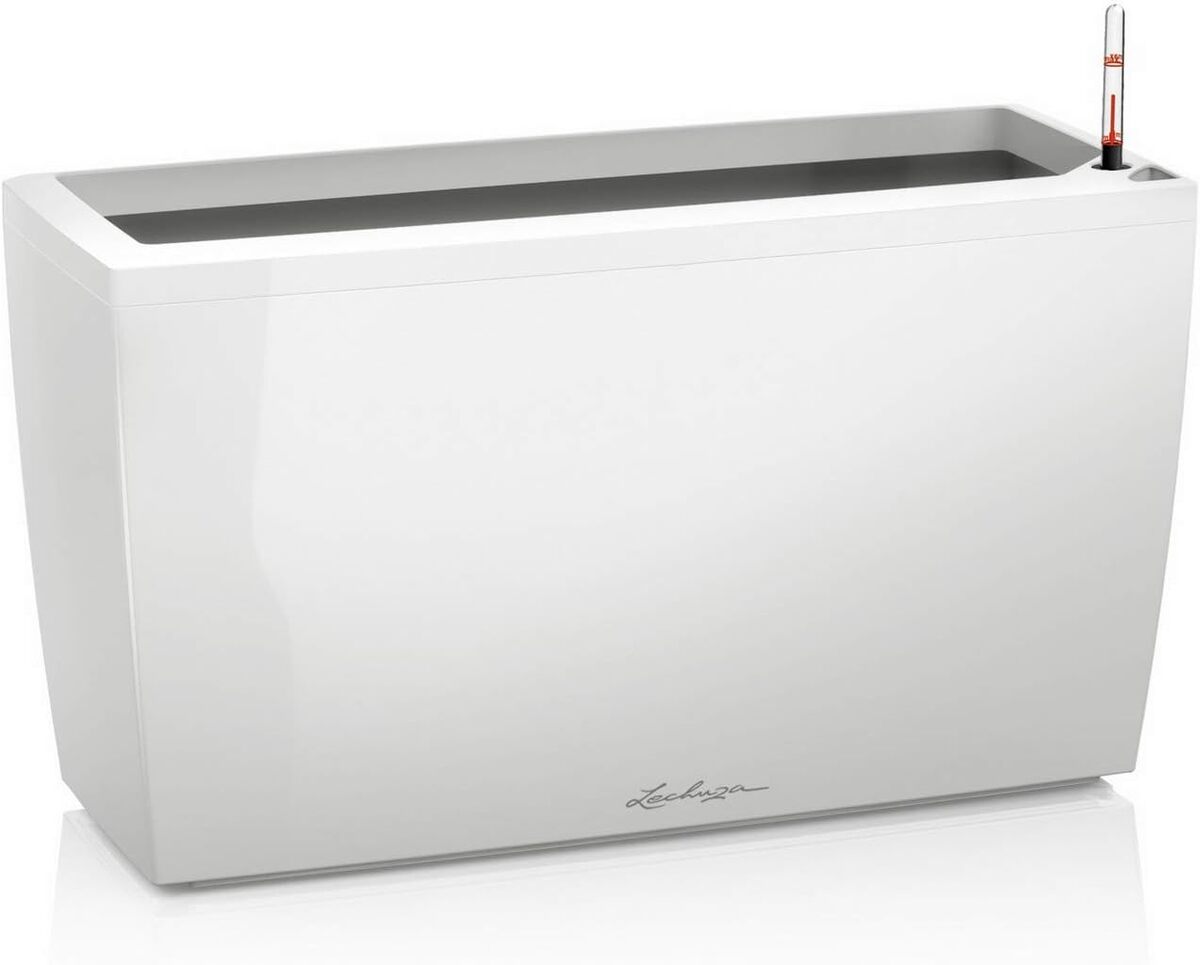 Avis sur le pot premium Cararo blanc de Lechuza