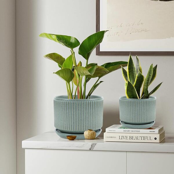 TANEW Lot de 3 pots de fleurs en céramique avec trou de drainage et soucoupe, 10,9 cm + 14 cm + 17 cm à rayures pour intérieur et extérieur, plantes succulentes, orchidées, fleurs, cadeaux pour maman,