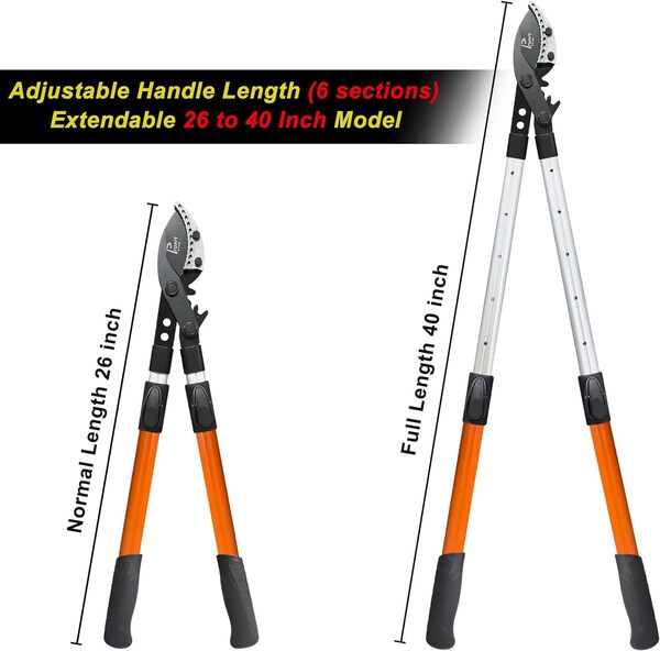 Élagueur robuste pour élaguer les arbres, manche télescopique de 66 à 101,6 cm, élagueur à levier de synchronisation électrique, coupe-branches de 5,1 cm