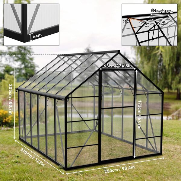 Froadp Serre en aluminium avec fondation 310 x 250 x 205 cm - Plaques creuses en polycarbonate de 4 mm - Résistant aux intempéries - Serre à tomates avec fenêtres - Pour jardin et élevage