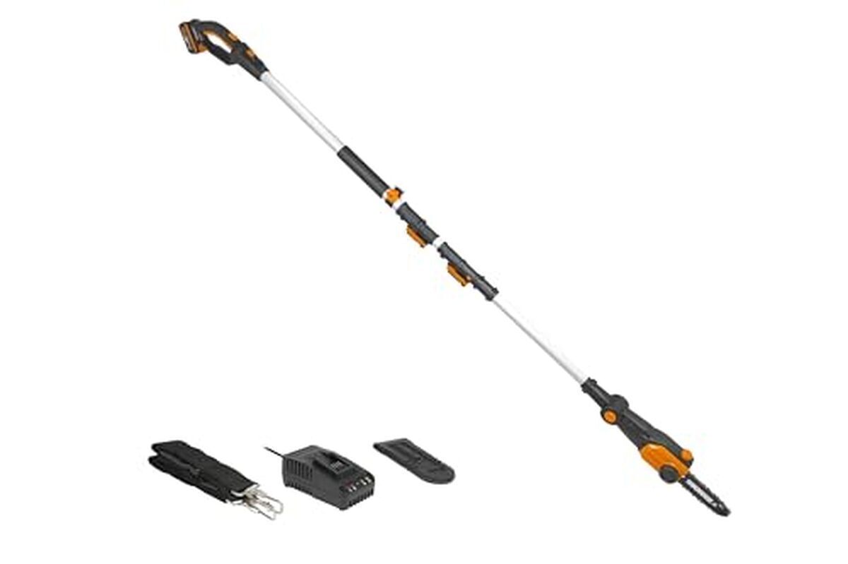 Test de l'élagueuse sans fil Worx WG349E avec manche télescopique