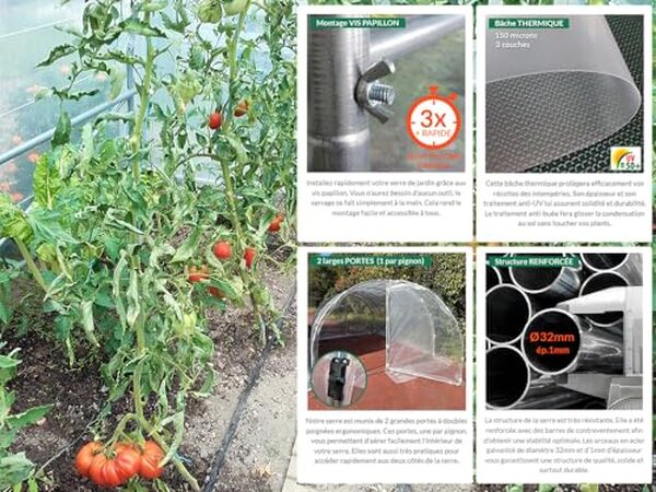 Découvrez notre analyse approfondie de la serre tunnel France Serres 12m² : pourquoi ce modèle est un choix idéal pour vos cultures. Évaluations sur la performance, les avantages et l'installation.