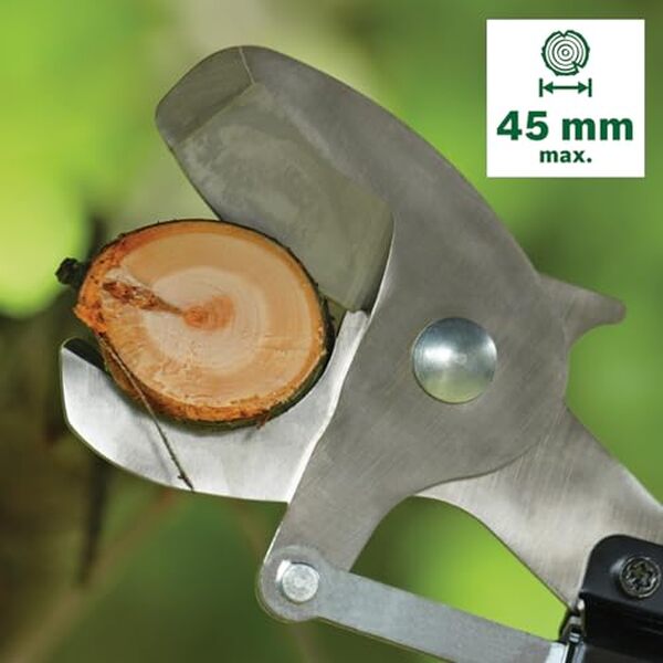 Profitez de notre test complet du sécateur sans fil Bosch AdvancedPrune 18V-45 : alliez puissance, précision et confort pour un jardinage facilité et efficace.